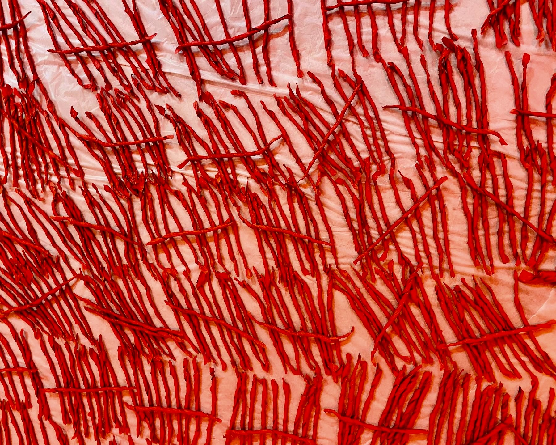 10559913-DFD6-460E-BF02-3A315C0FCA0B_1_201_a