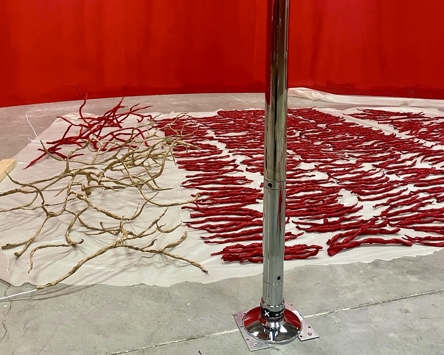 A9E50EC5-B2AF-4286-8E95-1400DAD89839_1_201_a